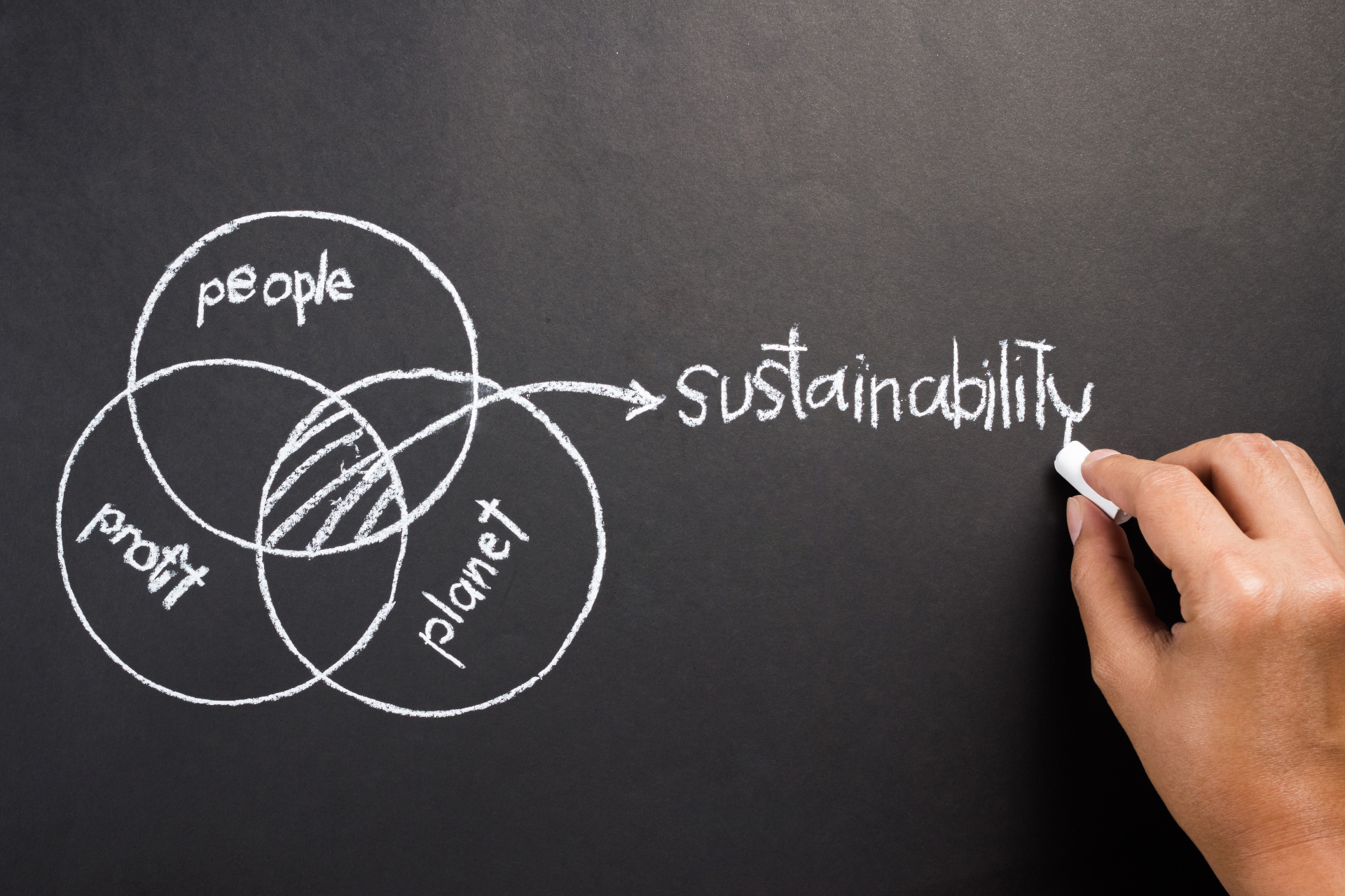 Chalkboard sketch of overlapping people, profit and planet circles pointing to the word sustainability